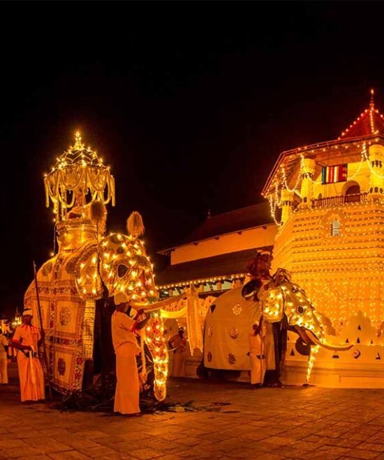 Kandy Perahera Festival Tour Package (05 Days | 04 Nights)